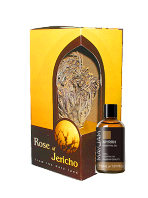 Big rose of Jericho + Myrrh Oil